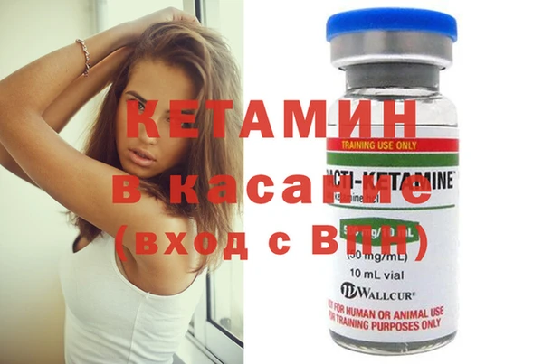 индика Белокуриха