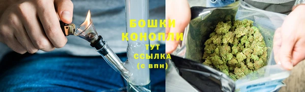 индика Белокуриха