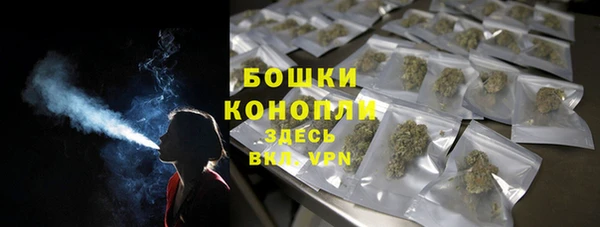 индика Белокуриха