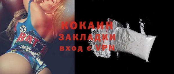 индика Белокуриха