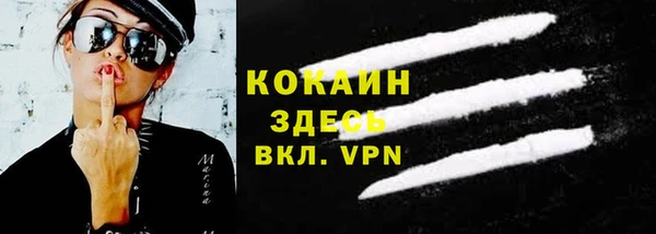 индика Белокуриха