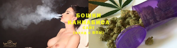 индика Белокуриха