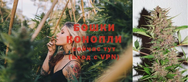 эйфоретик Беломорск