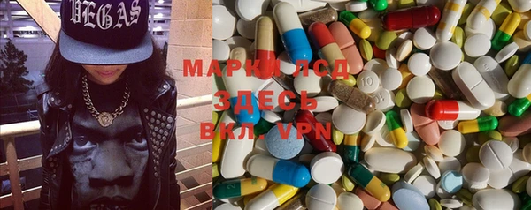 индика Белокуриха