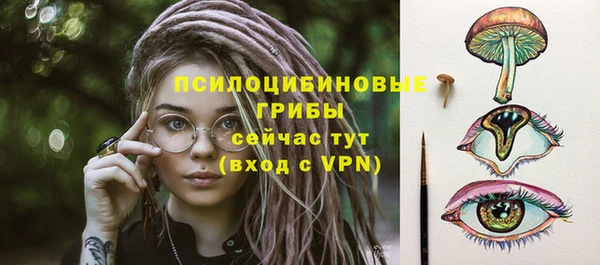 индика Белокуриха