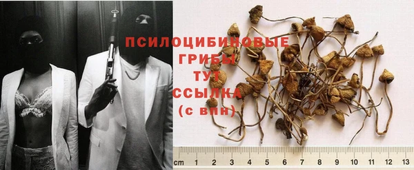 apvp Баксан